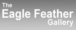 eagle_feather_gallery